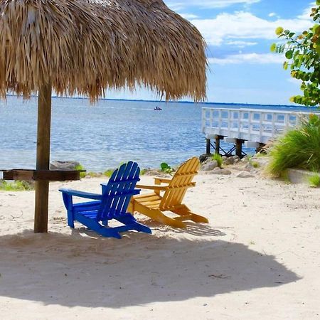 Sunset Paradise - Find Yourself In Tampa Esterno foto