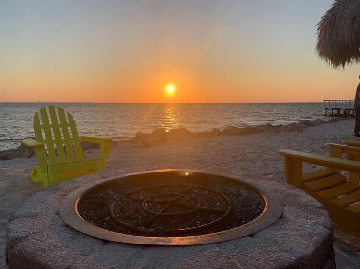 Sunset Paradise - Find Yourself In Tampa Esterno foto