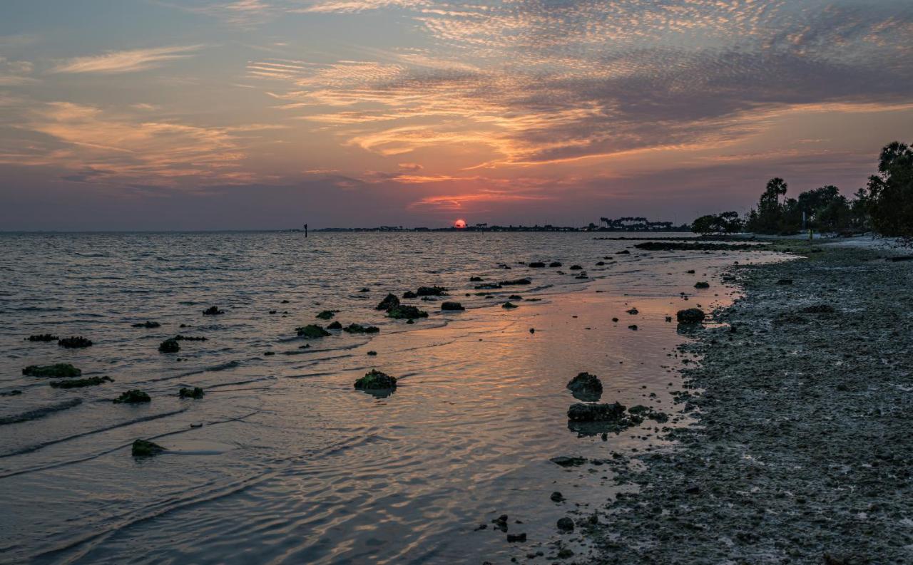 Sunset Paradise - Find Yourself In Tampa Esterno foto