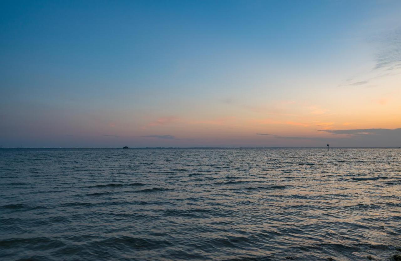 Sunset Paradise - Find Yourself In Tampa Esterno foto